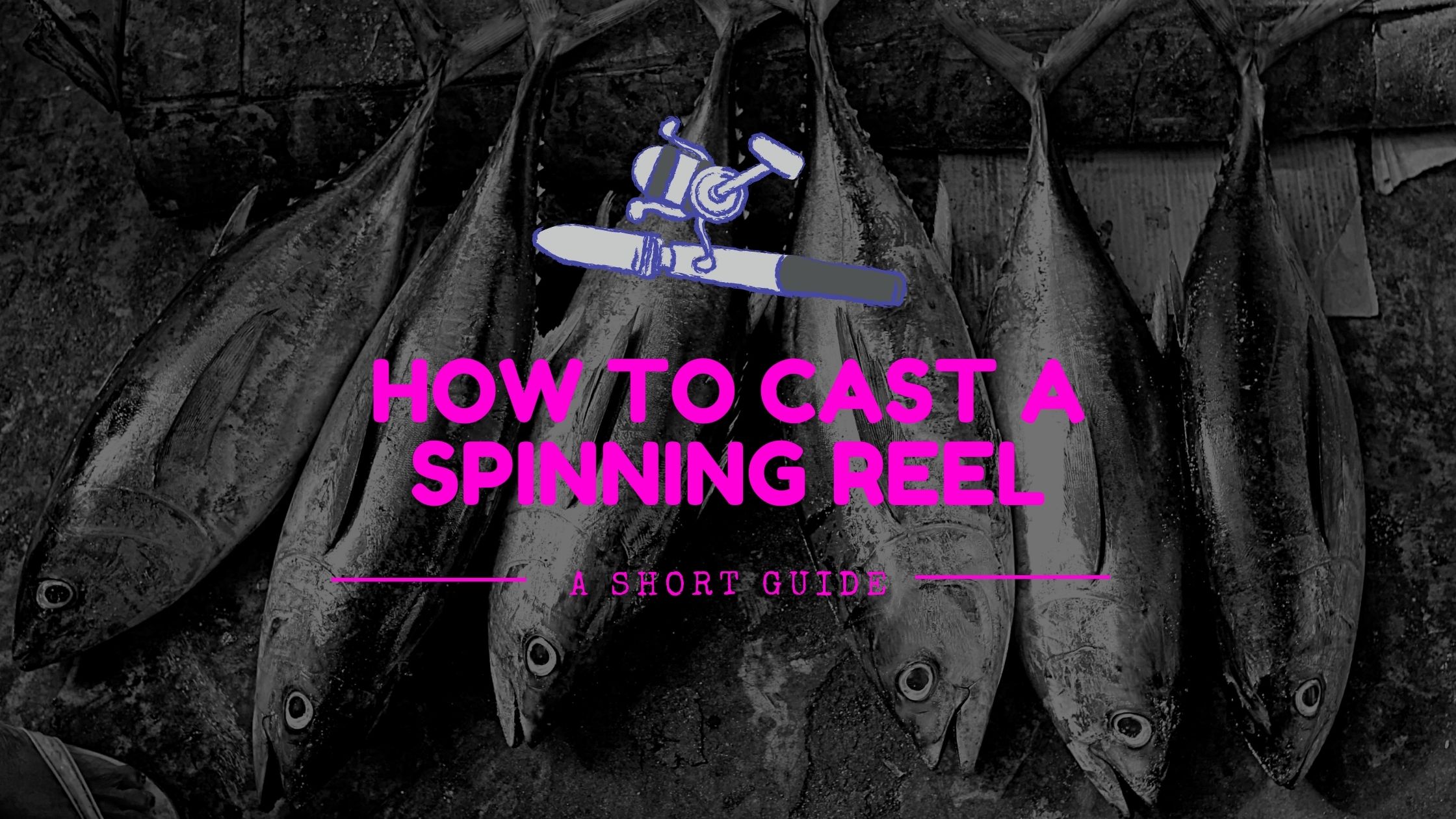 How to Cast a Spinning Reel: Beginner Friendly Short Guide