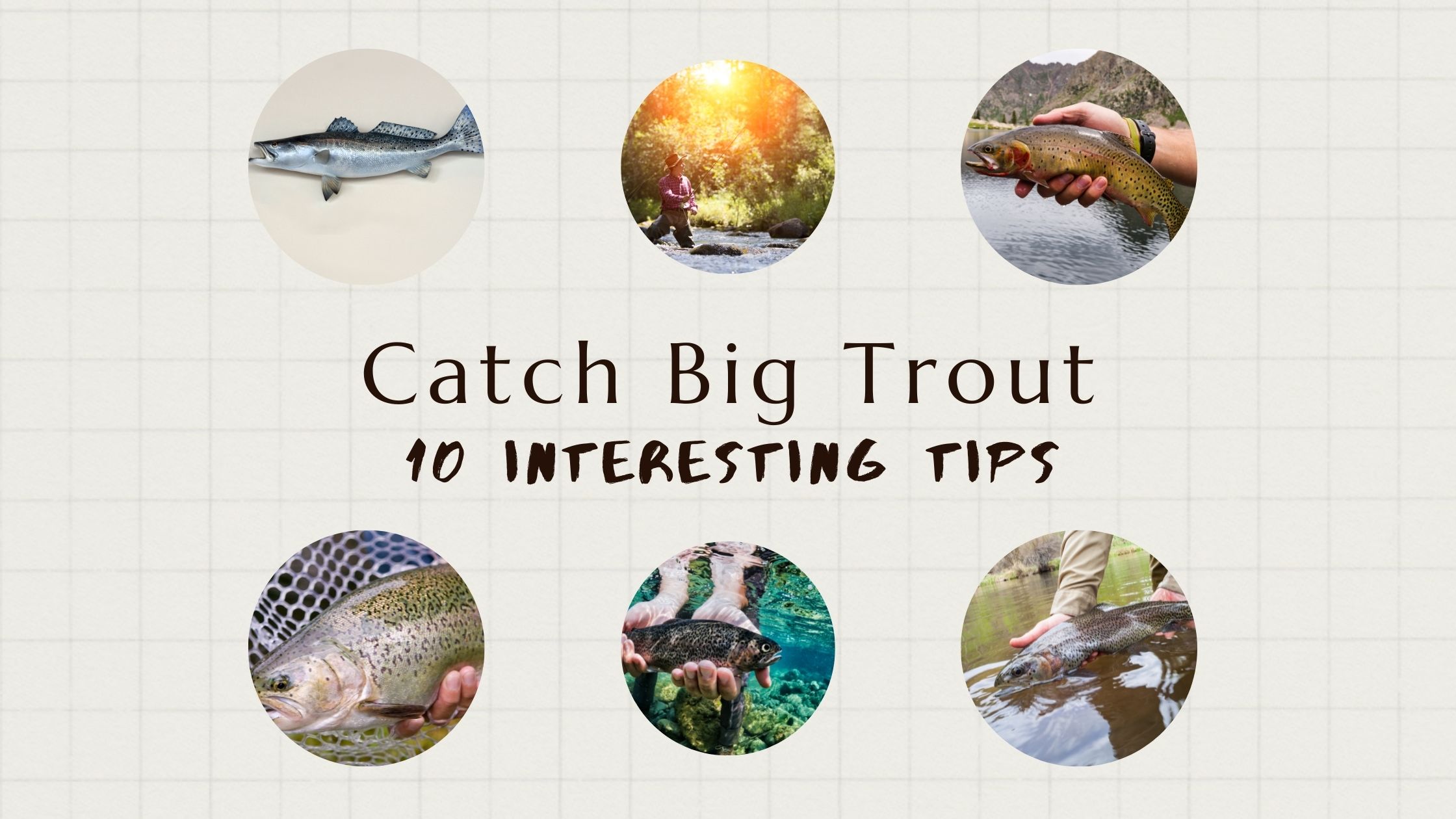 10 Top Tips for Catching Big Trout