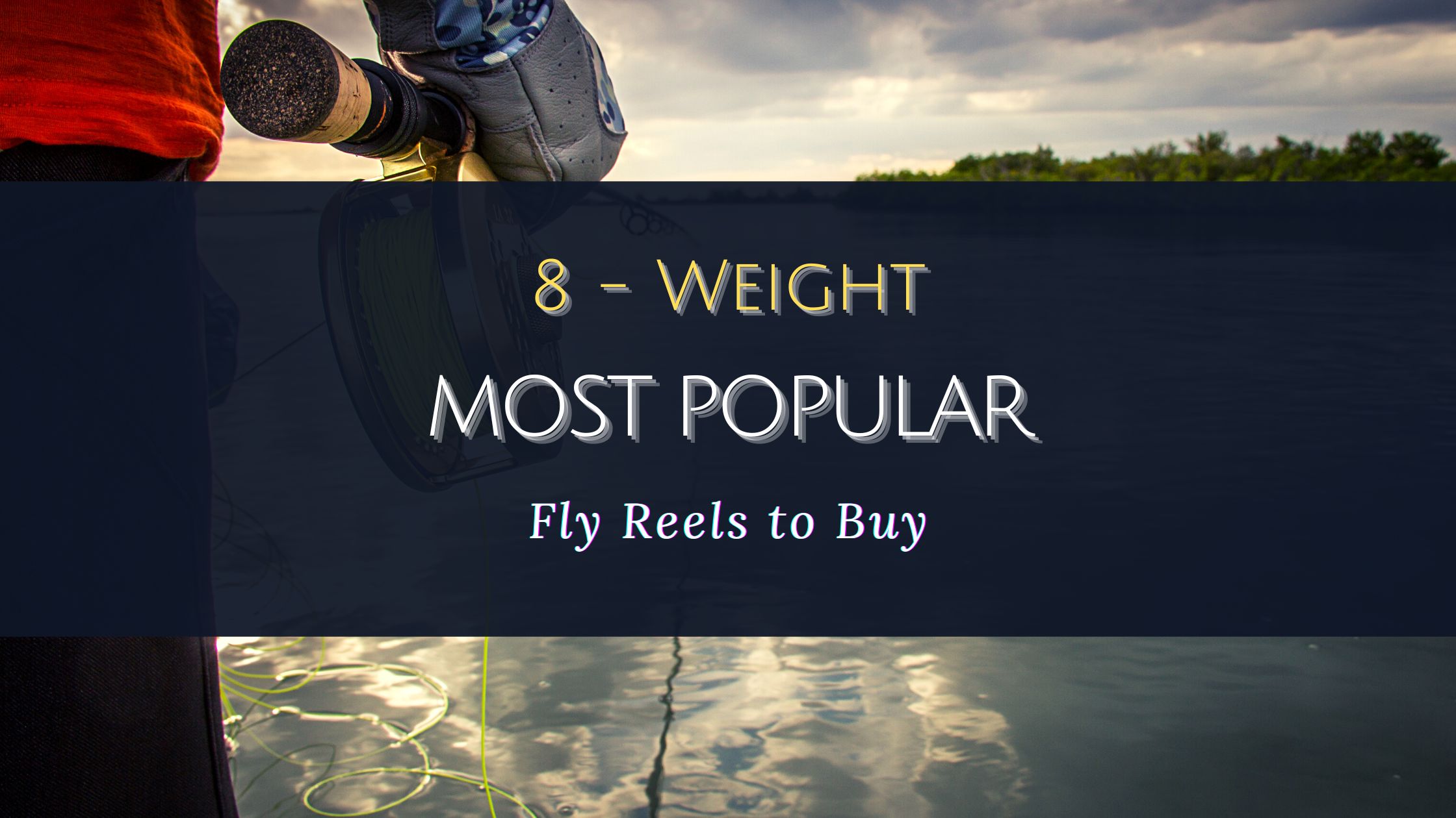 8-Weight Most Popular Fly Reels – With Buyer Guide 2022