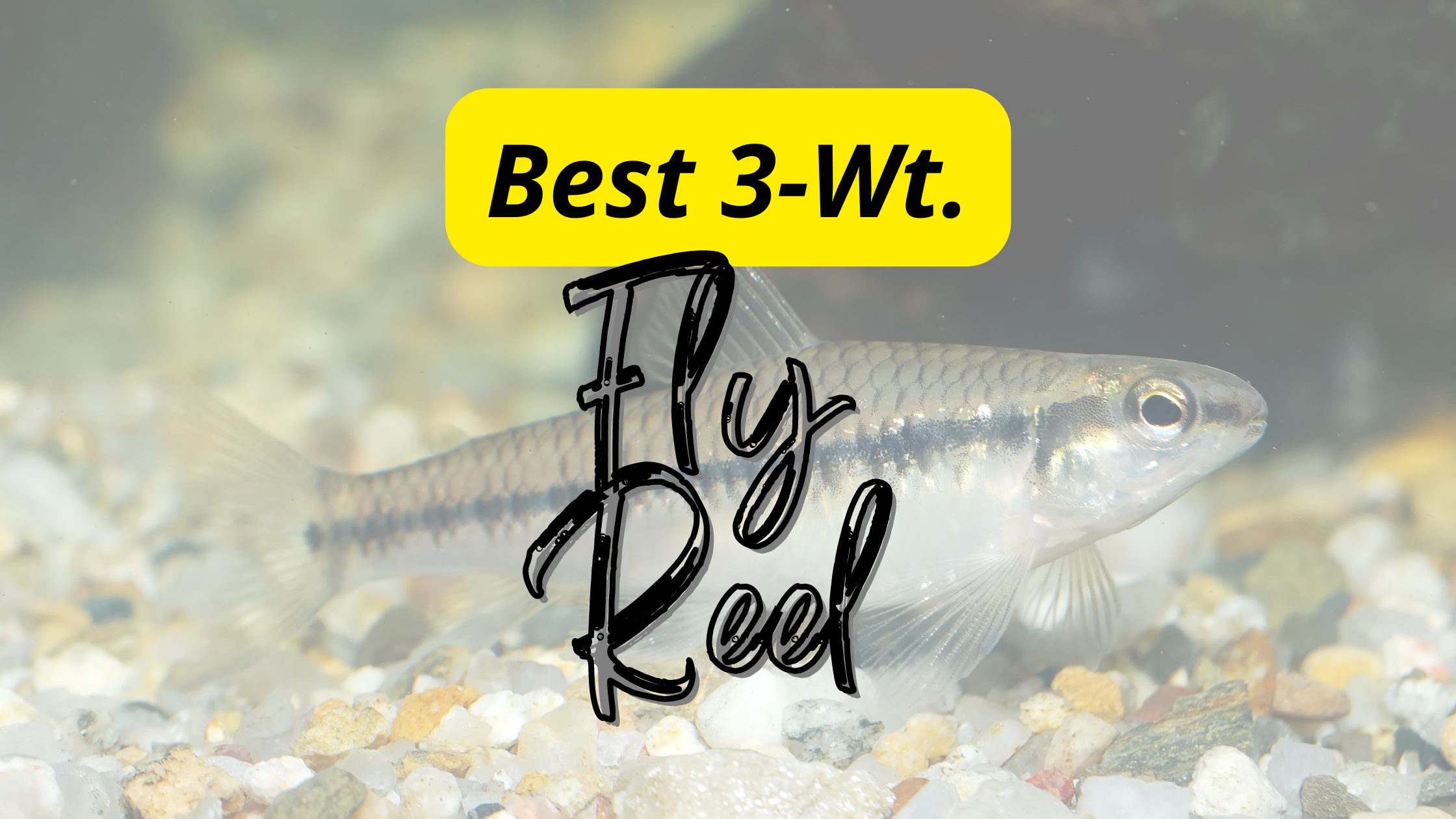 Best 3 Weight Fly Reels of 2022 | Why do you need to buy them?